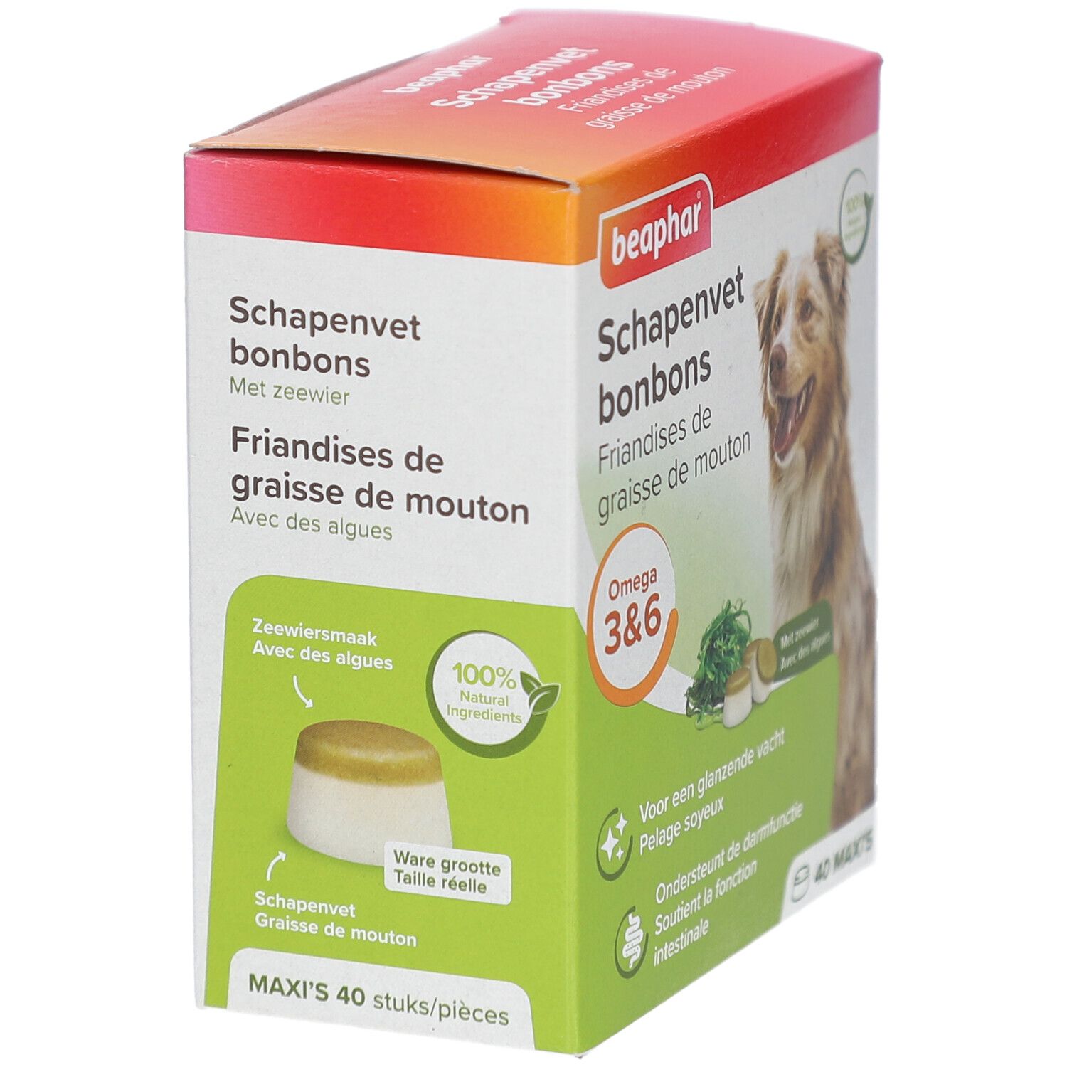 Beaphar Schapenvet bonbons Packung. Enthält Omega 3&6. Mit Algen. 40 Stück. Produktabbildung.