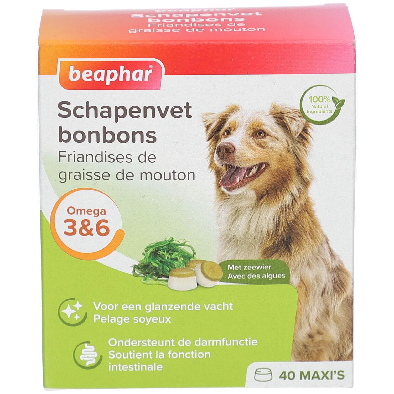 Beaphar Schapenvet bonbons Packung. Enthält Omega 3&6. Mit Algen. 40 Maxi's. Bild eines Hundes.