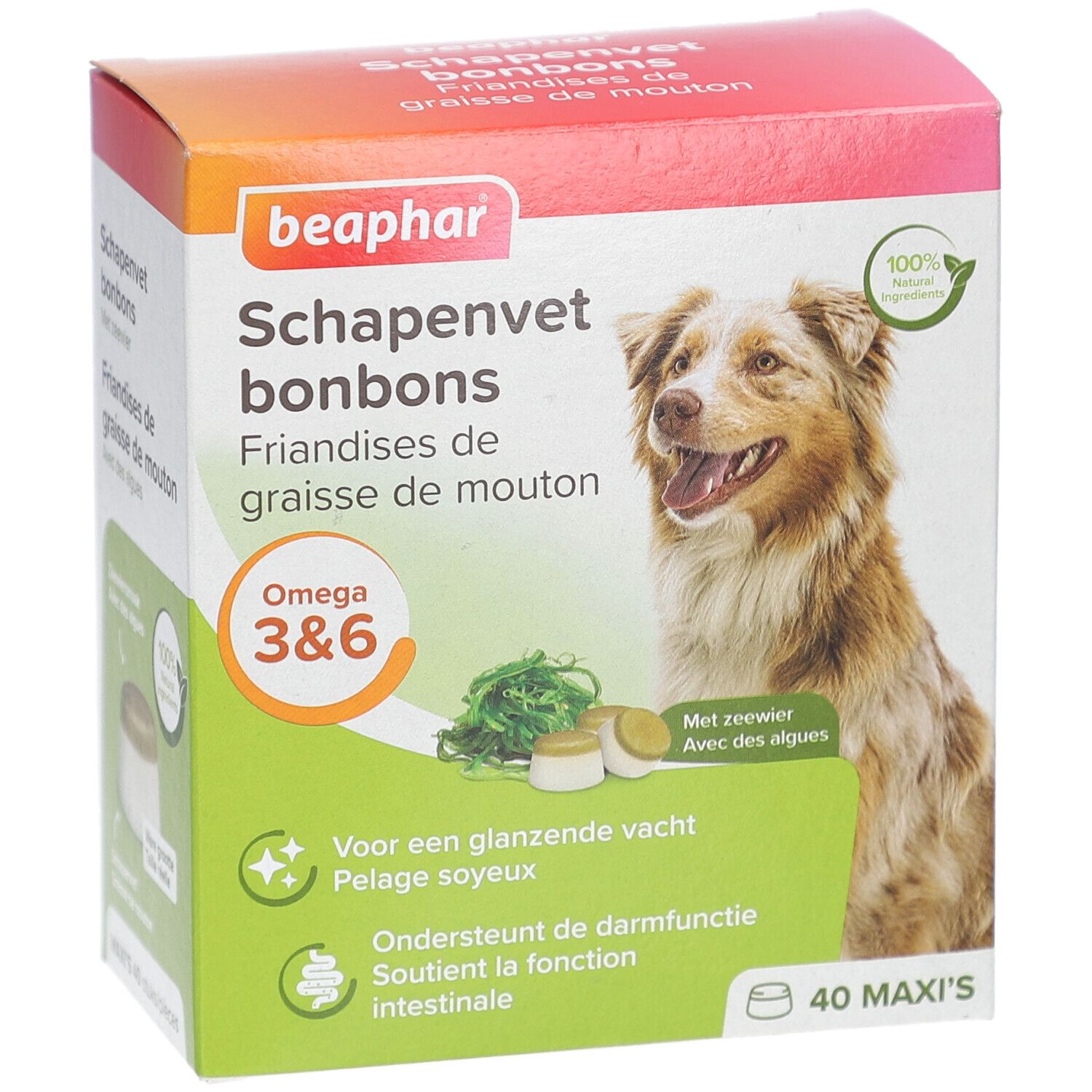Beaphar Schapenvet bonbons Packung. Enthält Omega 3&6. Mit Algen. 40 Maxi's. Bild eines Hundes.