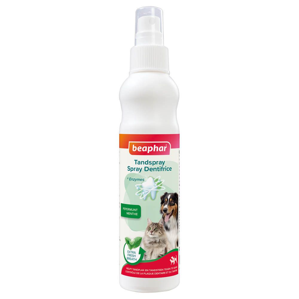 Flacon spray blanc avec tête de pulvérisation transparente. Inscription: beaphar, Zahnspray, dentifrice. Image de chien et chat.