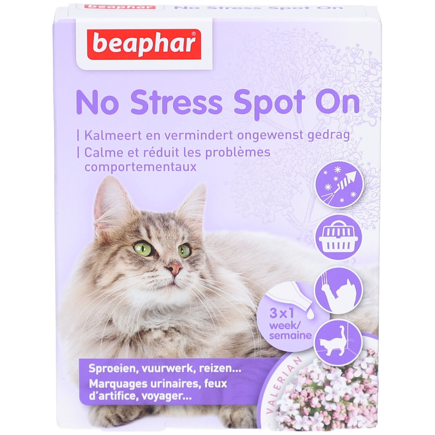 Beaphar® No Stress Spot On Chat-Verpackung. Lila-weiße Schachtel mit Katze, Produktname und Illustrationen.
