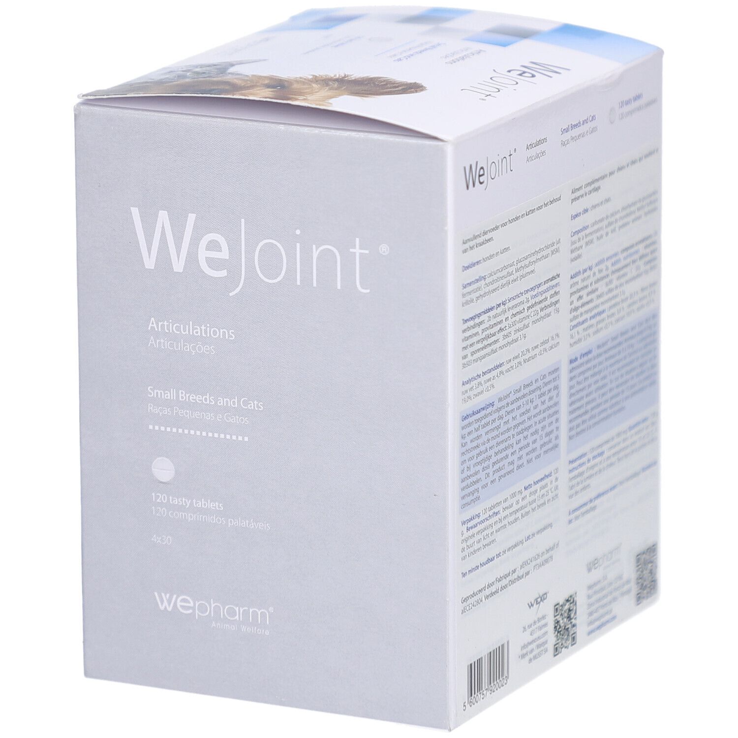 WeJoint-Verpackung. Articulations für kleine Rassen und Katzen. 120 Tabletten. WePharm-Logo. Ansicht von der Seite.