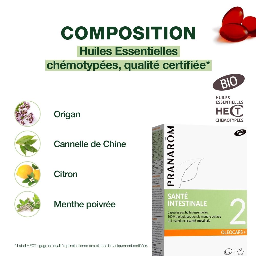 Emballage du produit. Inscription: SANTE INTESTINALE 2. Certification BIO. 30 gélules.