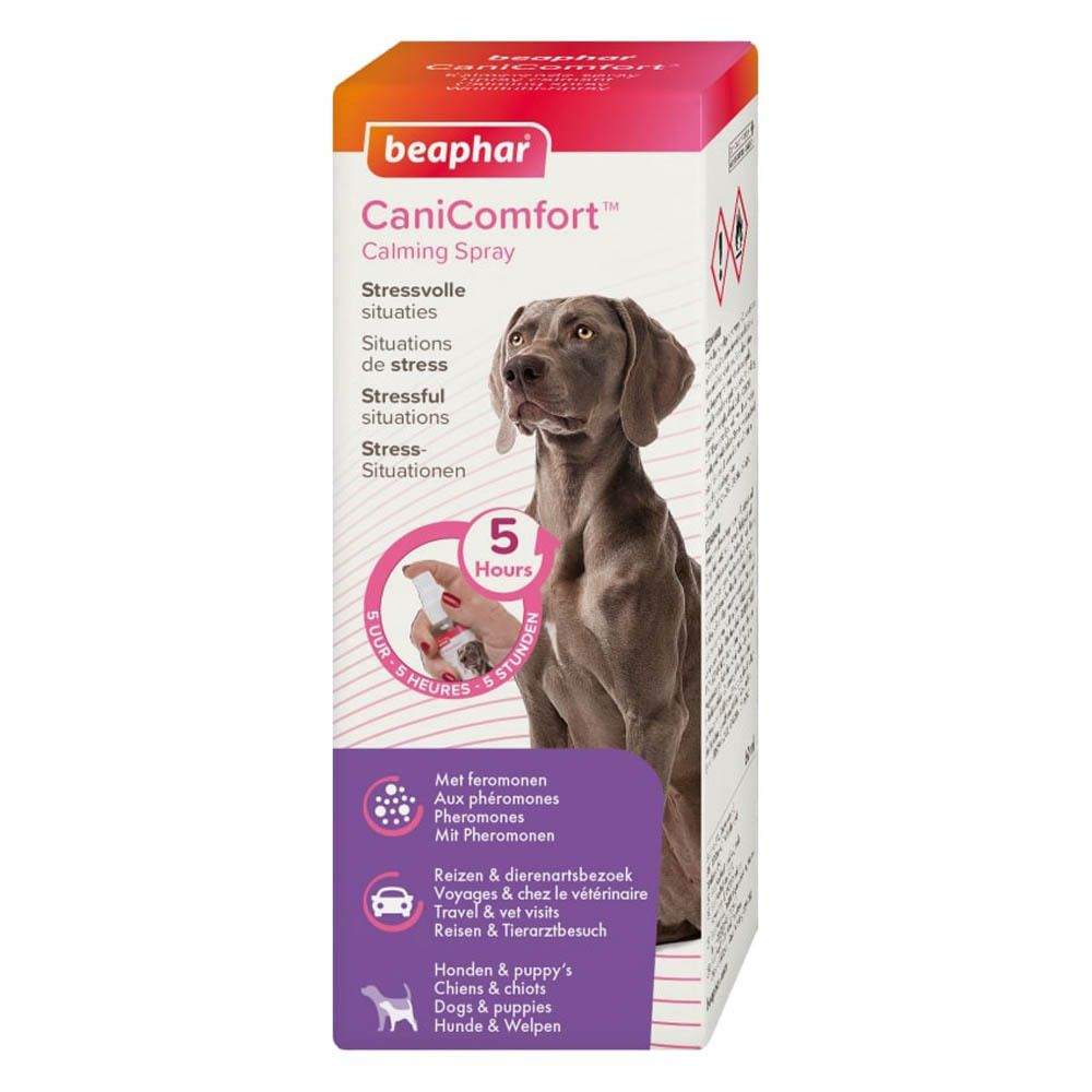 Emballage du produit. Texte, chien et illustrations.