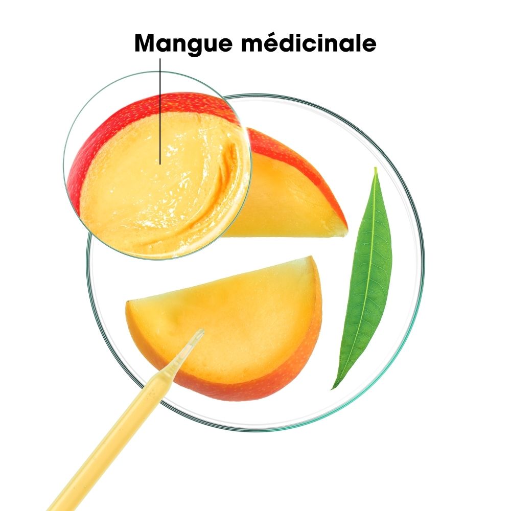 KLORANE Baume à la Mangue, tube avec motif de fruit et fruit de mangue.