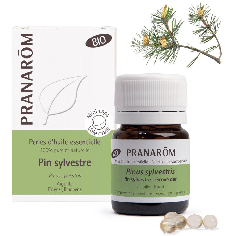 Pranarôm Perlen aus ätherischem Öl Waldkiefer Bio
