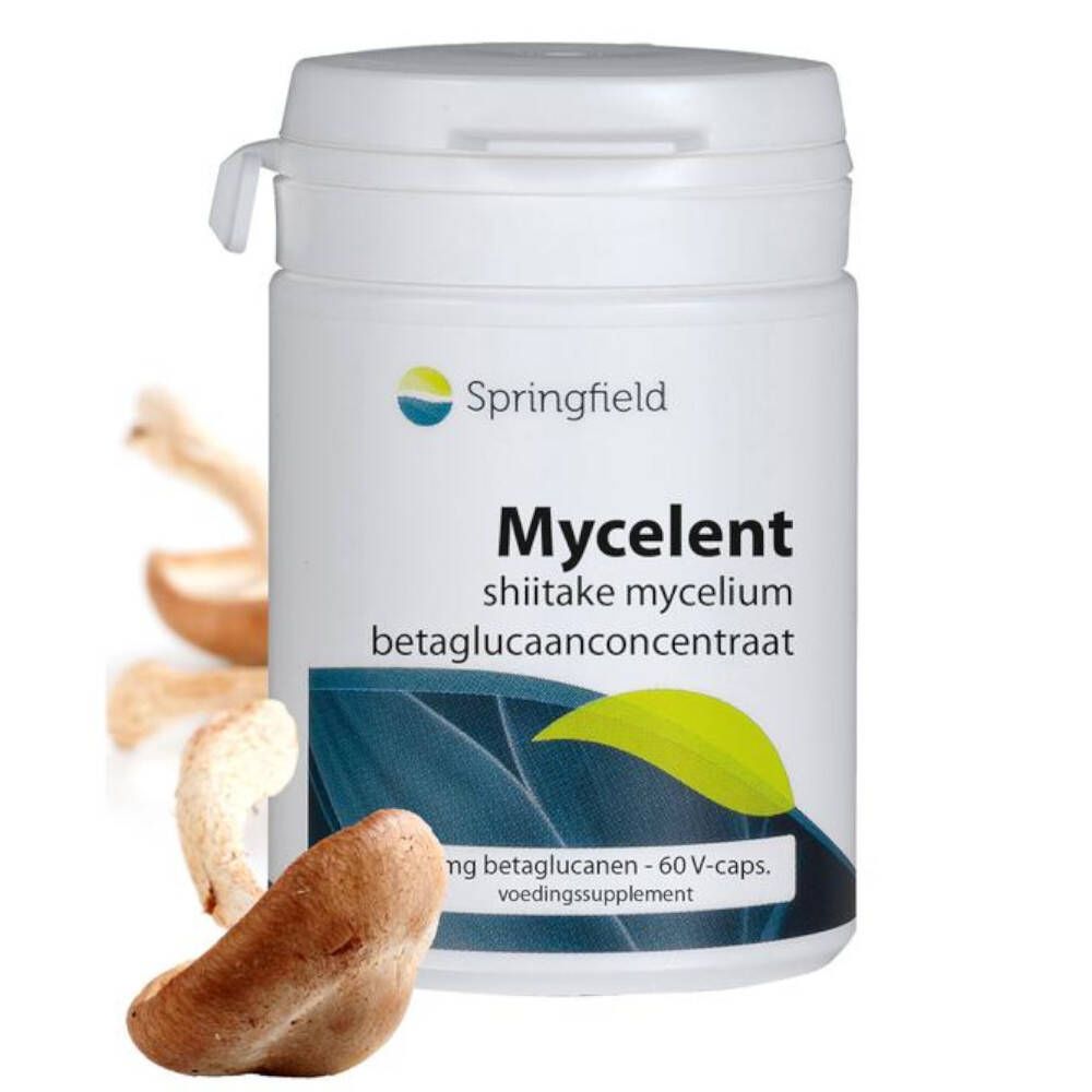Springfield Mycelent Shiitake-Mycel Beta-Glucan-Konzentrat