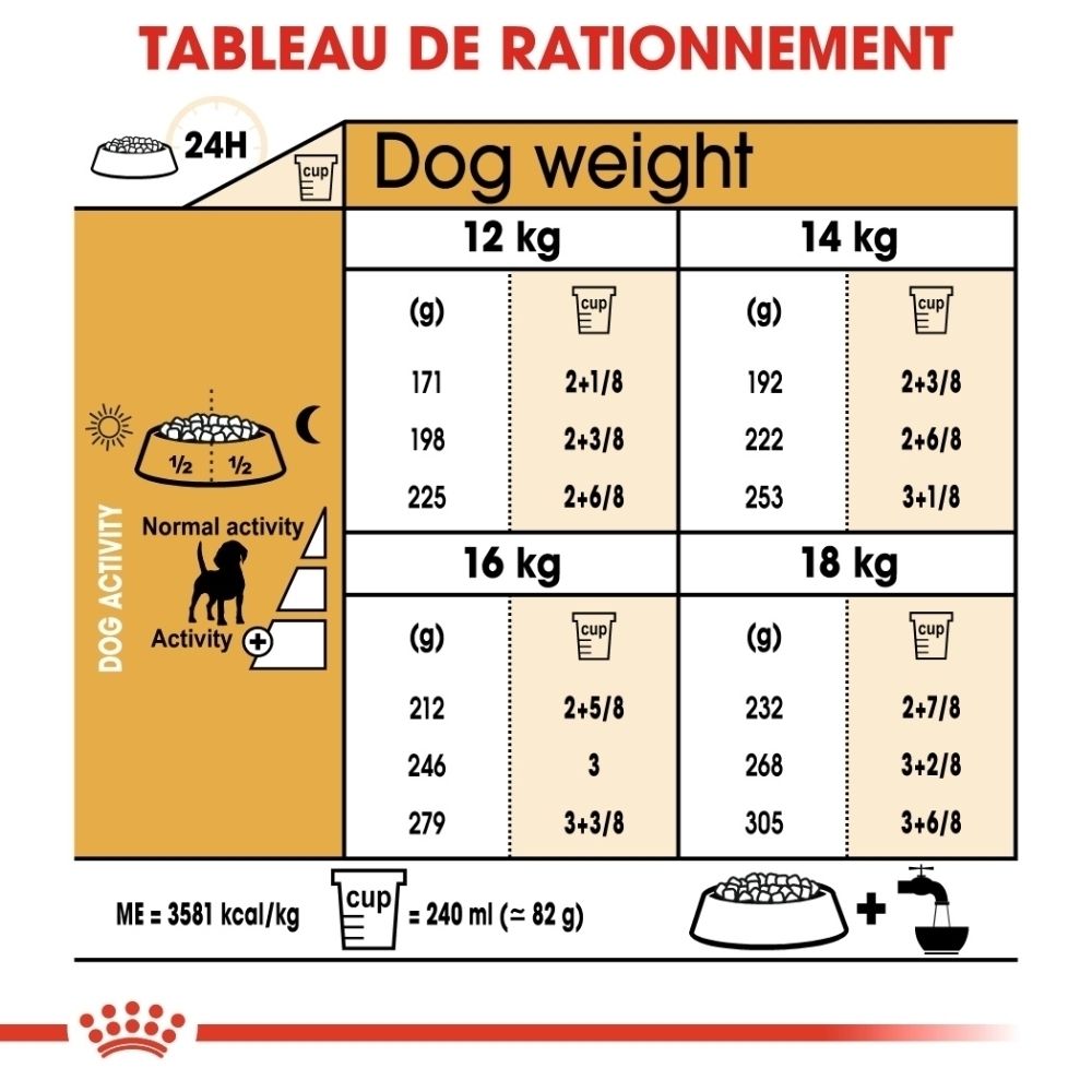 Illustration d'un chien Beagle pour Royal Canin Beagle Adulte.