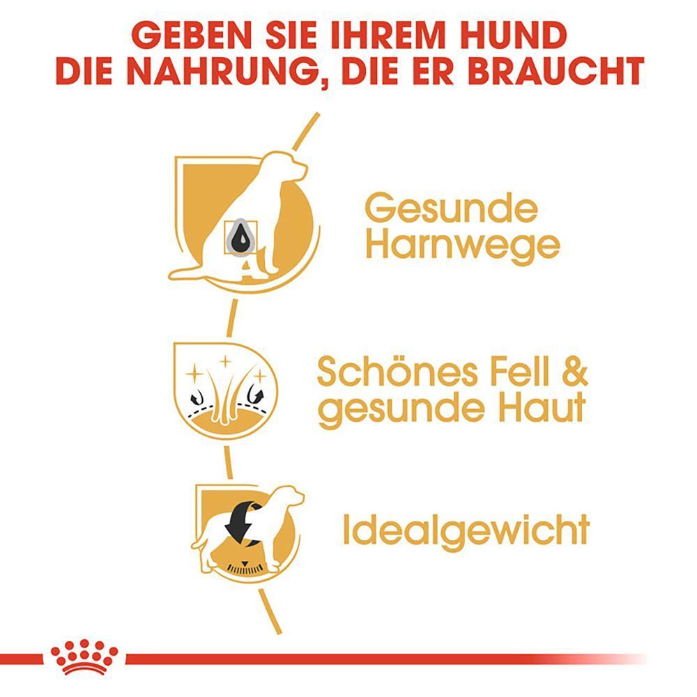 Grafiken zu Hundefutter-Vorteilen: Harnwege, Fell/Haut, Idealgewicht.