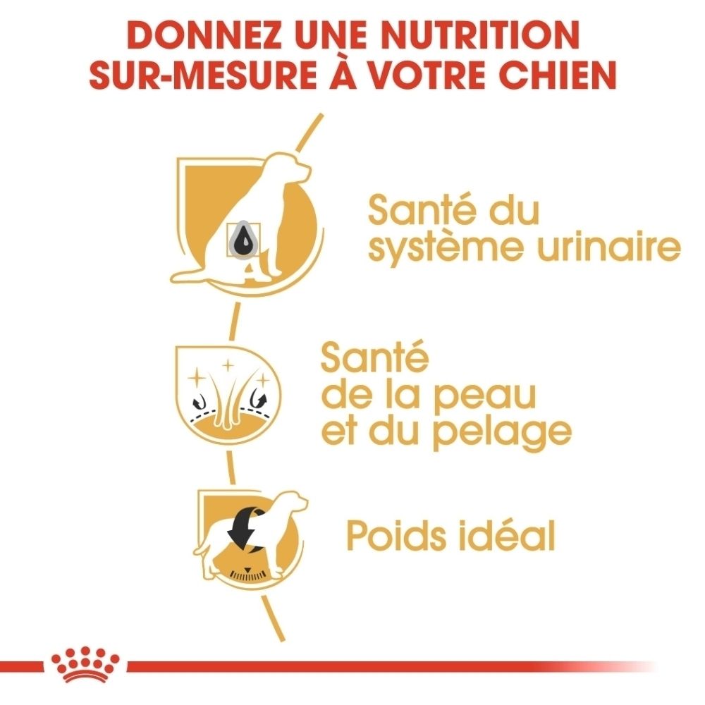 Drei Icons: Hund mit Tropfen für Harnwege, Pflanze für Haut/Fell, Hund mit Pfeil für Idealgewicht.
