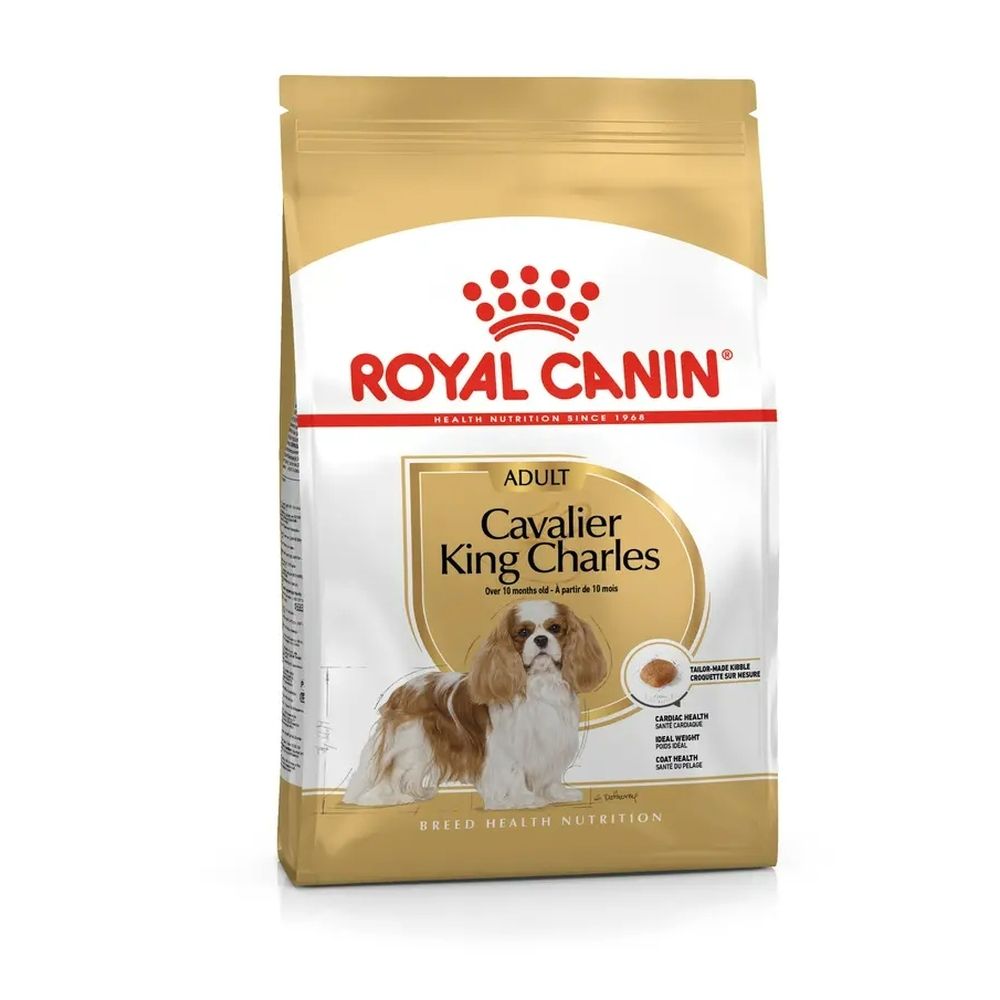 Royal Canin Hundefutter für erwachsene Cavalier King Charles. Goldene Verpackung mit Hundebild.
