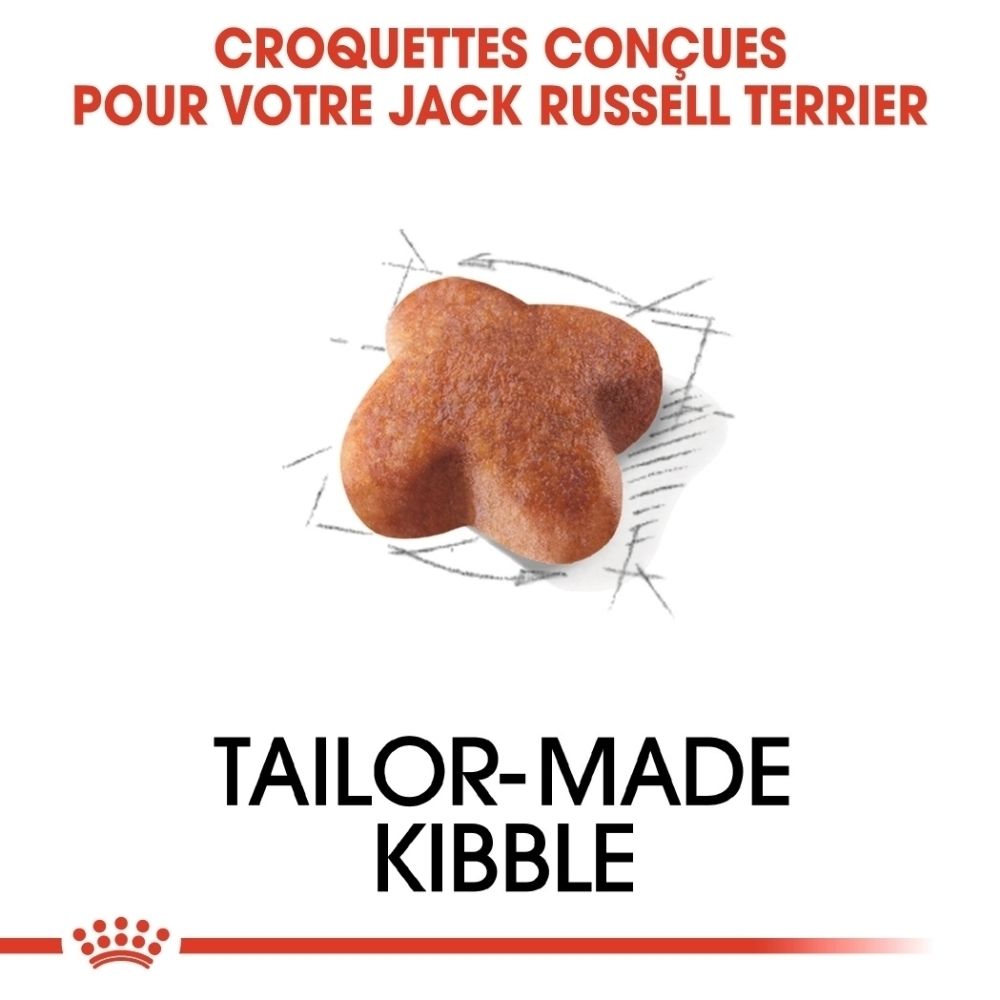 Ein einzelnes, sternförmiges Hundefutter-Kibble auf einem technischen Zeichen.