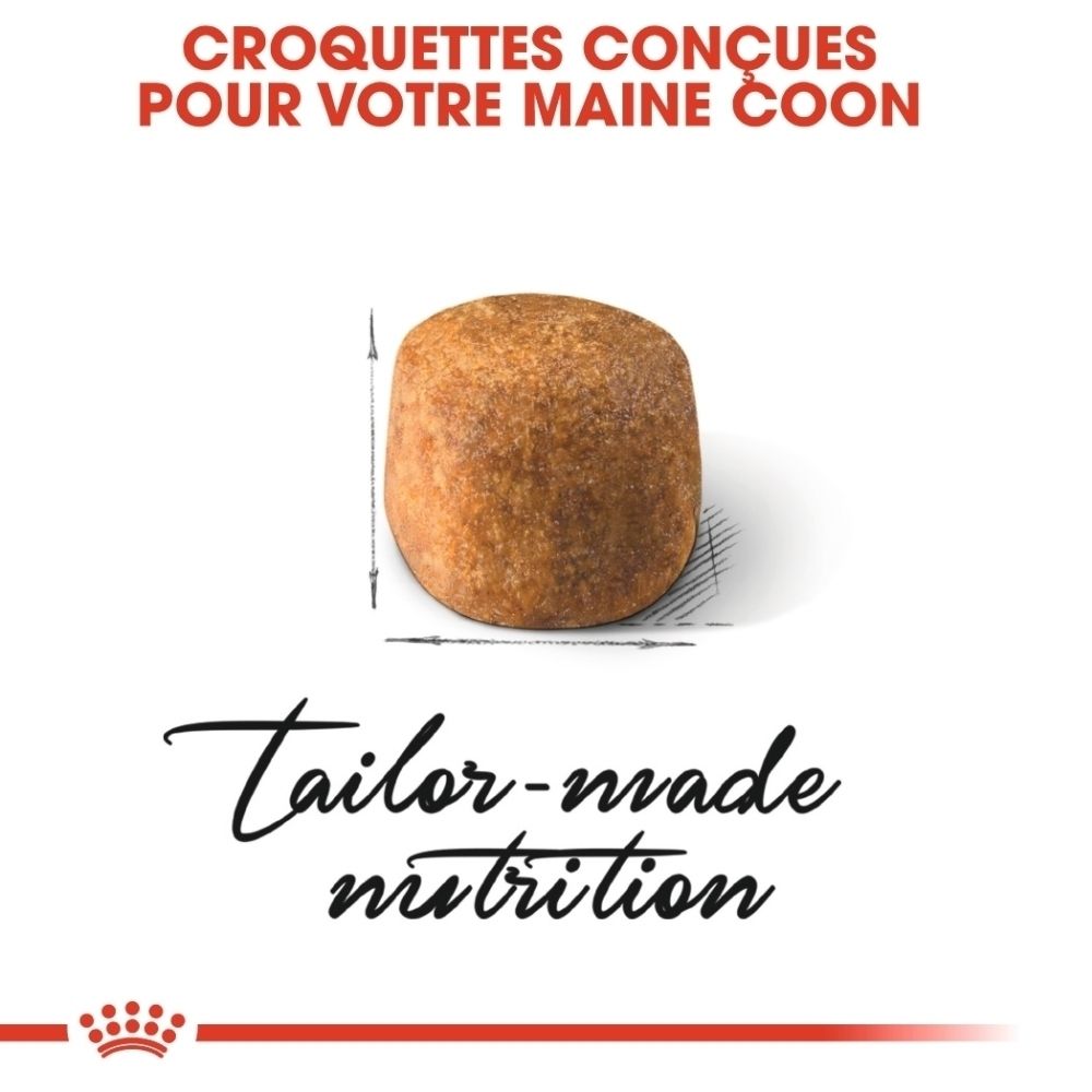 Eine einzelne, braune, ovale Kroketten für Katzen, mit Größenangabe.