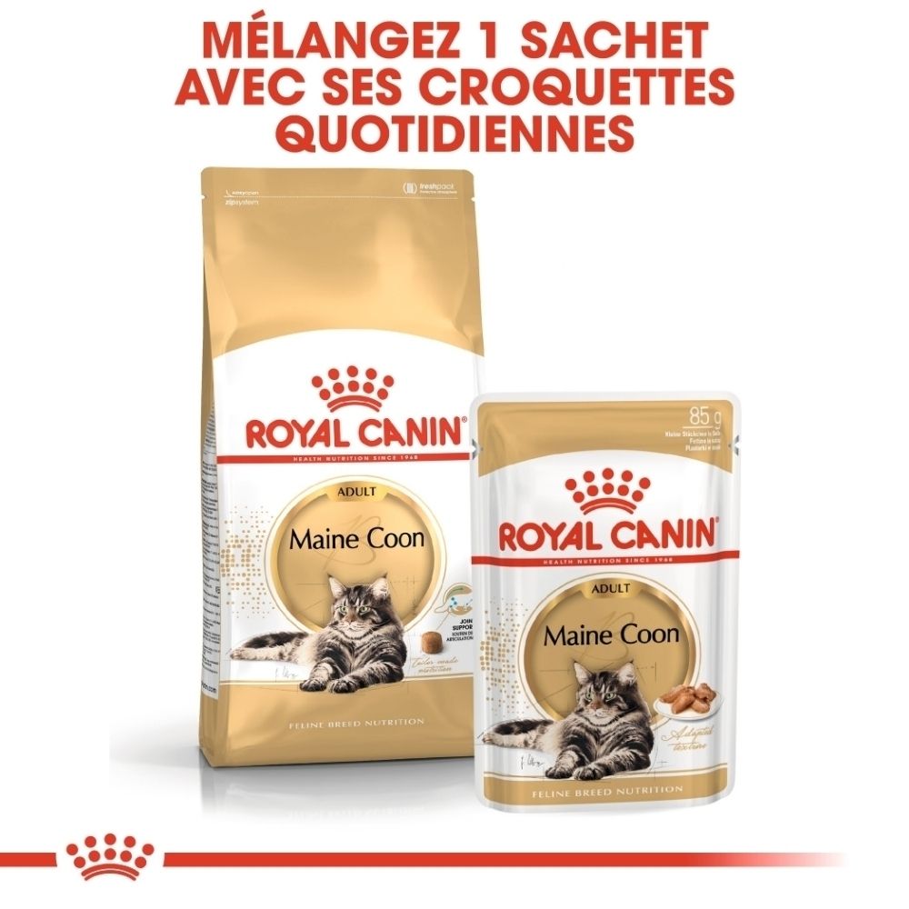 Royal Canin Maine Coon Katzenfutter, Beutel und Beutel.