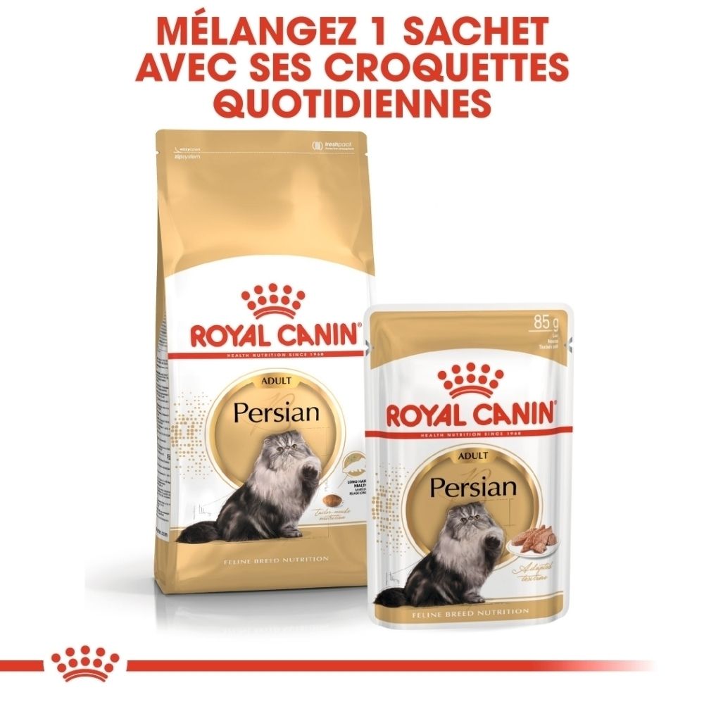 Royal Canin Persian Adult Katzenfutter in Beutel und Tüte. Goldene Verpackung mit Bild einer Katze.