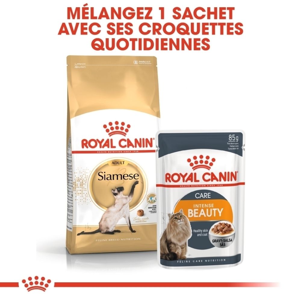 Royal Canin Trockenfutter für Siamkatzen und ein Beutel Nassfutter für intensive Schönheit.