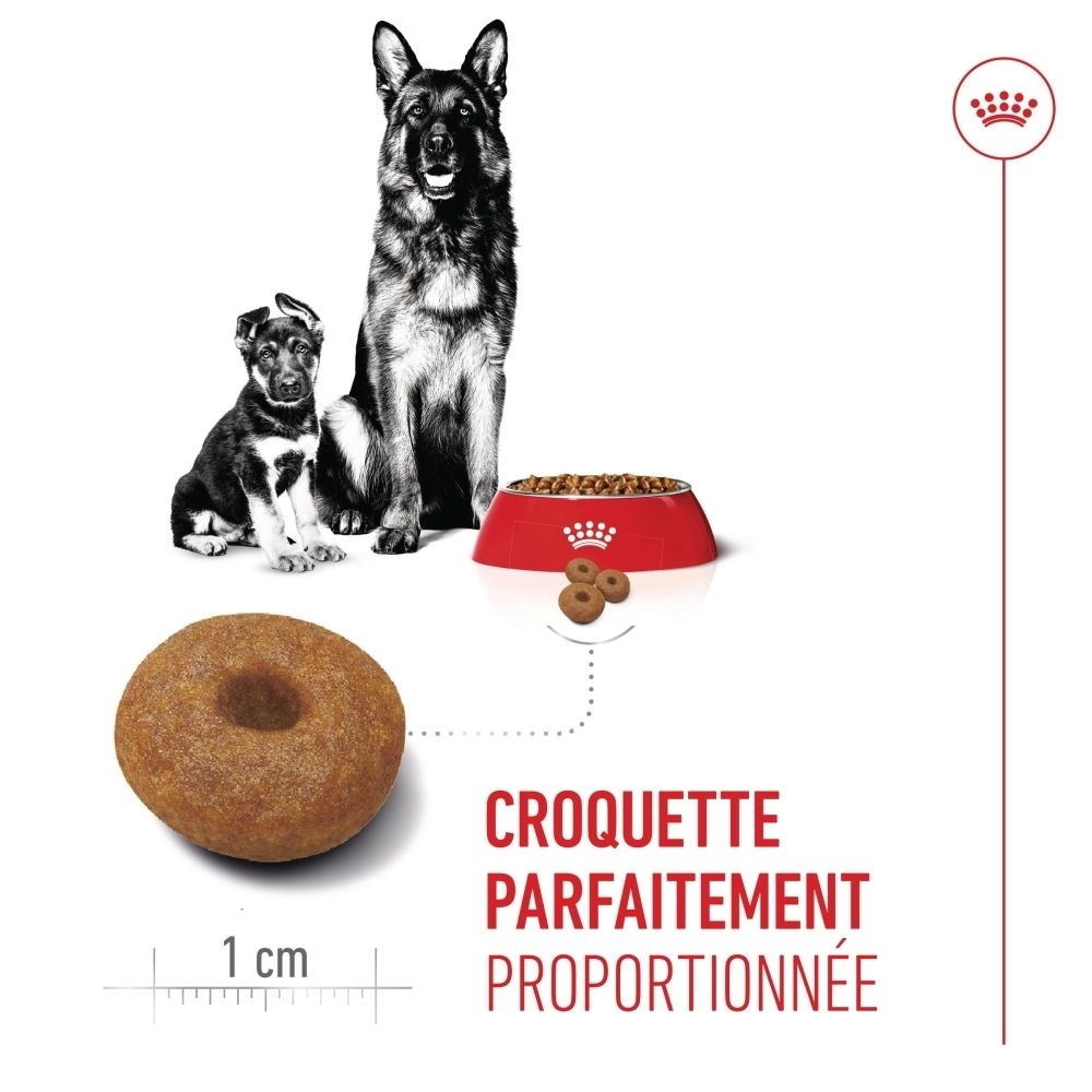 Sac de nourriture pour chiens avec illustrations de mère et chiot et indications de santé.