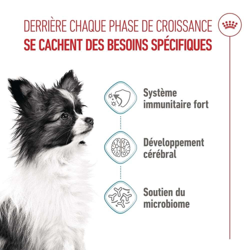 Nahaufnahme eines Hundes mit Icons für starke Immunsystem, Gehirnentwicklung und Mikrobiom-Unterstützung.