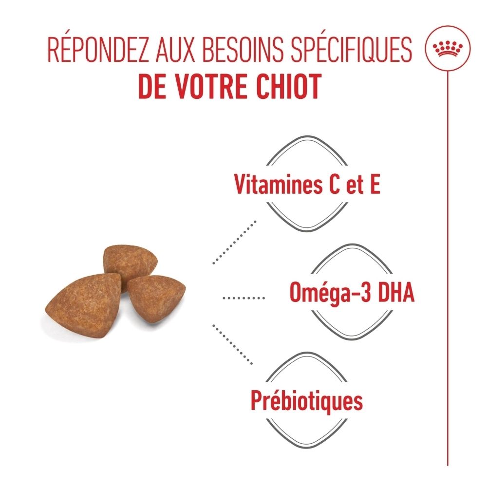 Hundefutter-Kroketten mit Icons für Vitamine C & E, Omega-3 DHA und Präbiotika.