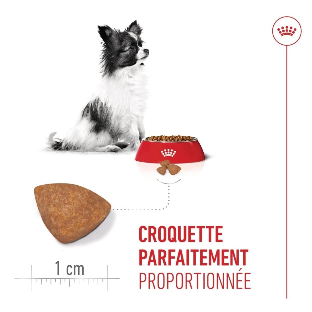 Royal Canin Puppy Futterbeutel und Pouch mit Hundebildern und Text zu Trocken- und Nassfutterkombination.