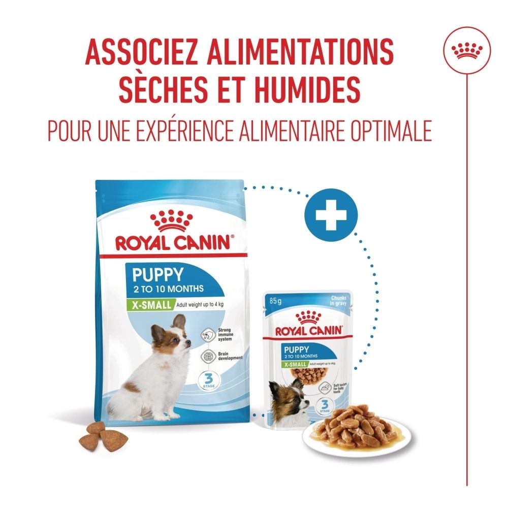 Royal Canin Kitten Futterbeutel und Pouch mit Katzenbildern und Text zu Trocken- und Nassfutterkombination.