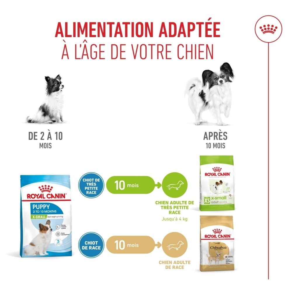 Schema zur Futteranpassung für Katzen nach Alter, mit Bildern von Kätzchen und erwachsenen Katzen.