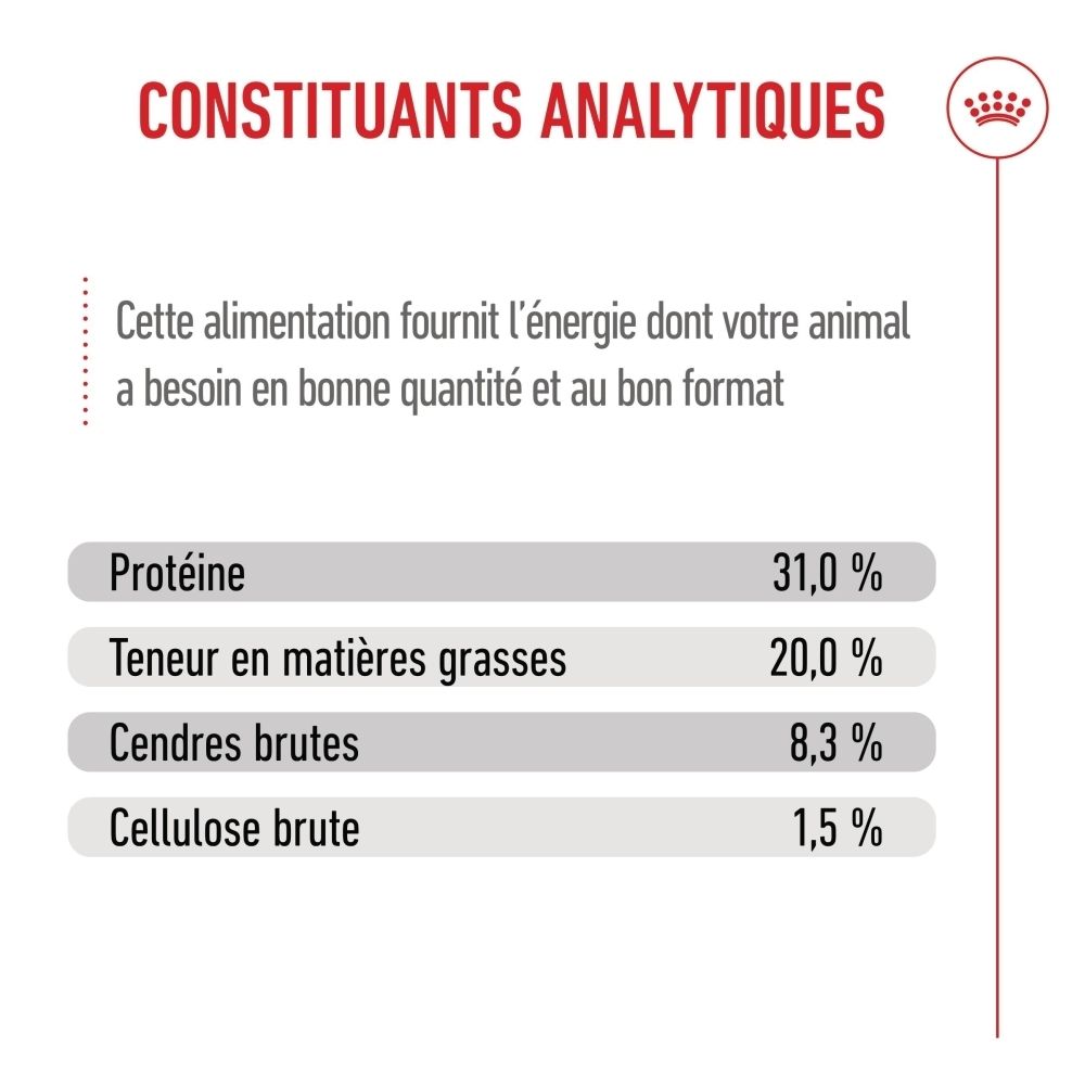 Royal Canin Puppy X-Small Futter: Stärkt Immunsystem, Gehirnentwicklung, Darmflora. Für Hunde bis 4 kg.
