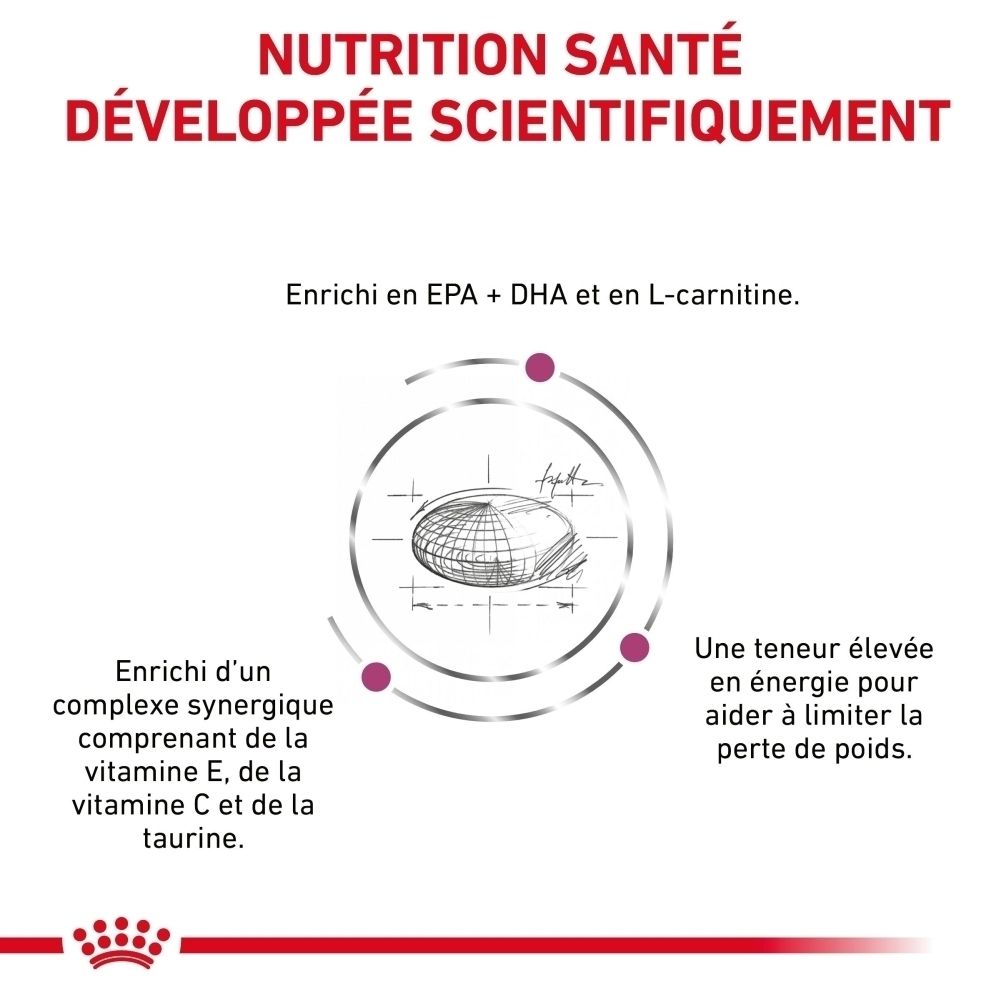 Grafik mit Text: Wissenschaftlich entwickelte Gesundheitsernährung, angereichert mit EPA+DHA, L-Carnitin, Vitamin E, C und Taurin.