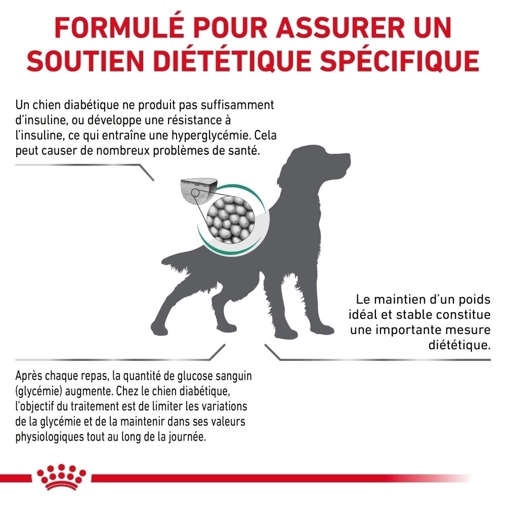 Graphique sur le soutien diététique pour chiens diabétiques.