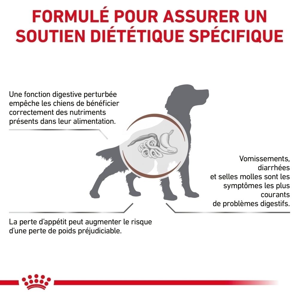 Illustration eines Hundes mit Fokus auf das Verdauungssystem, das Verdauungsprobleme wie Erbrechen und Durchfall zeigt.