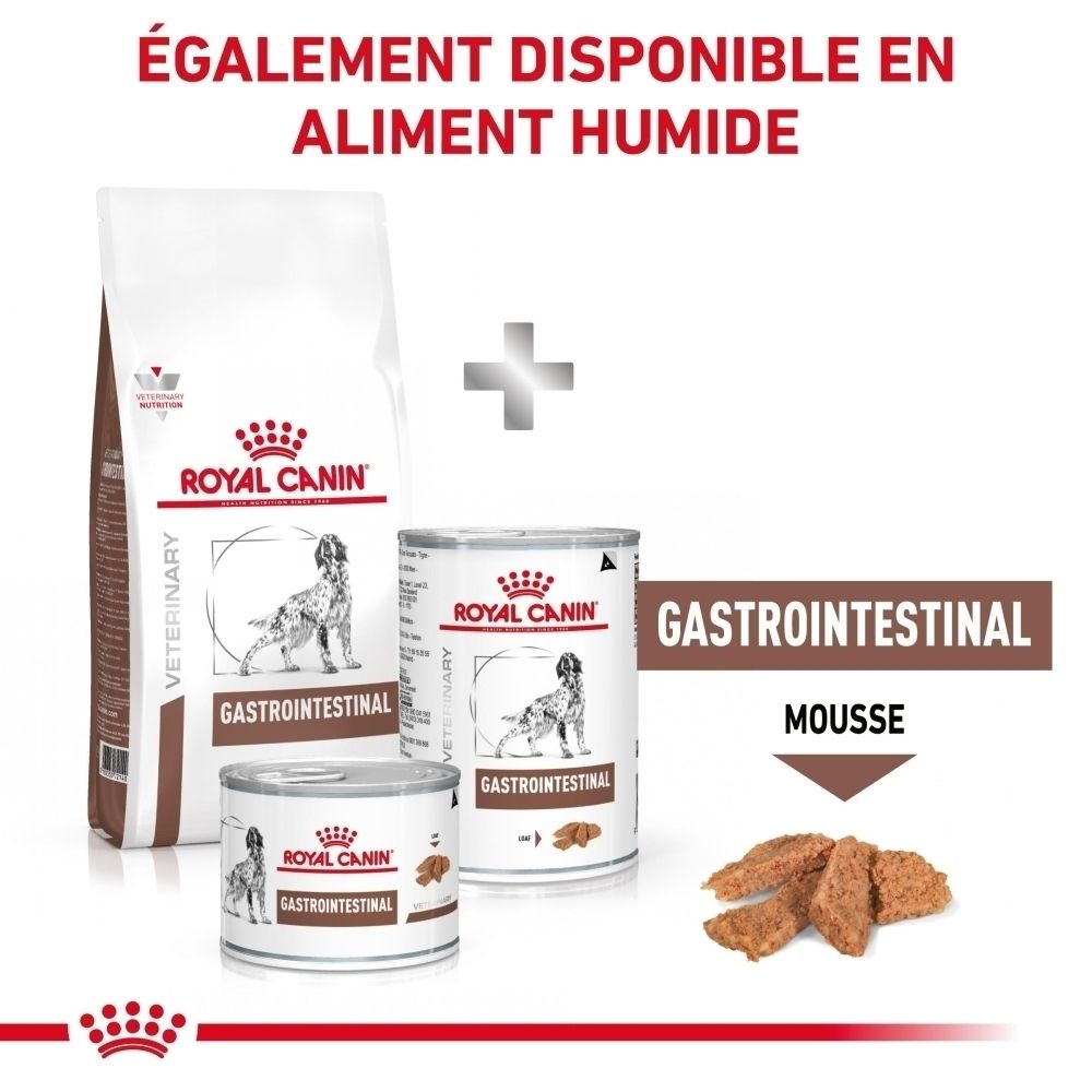 Royal Canin Gastrointestinal Hundefutter: Trockenfutter-Beutel und zwei Dosen Nassfutter.