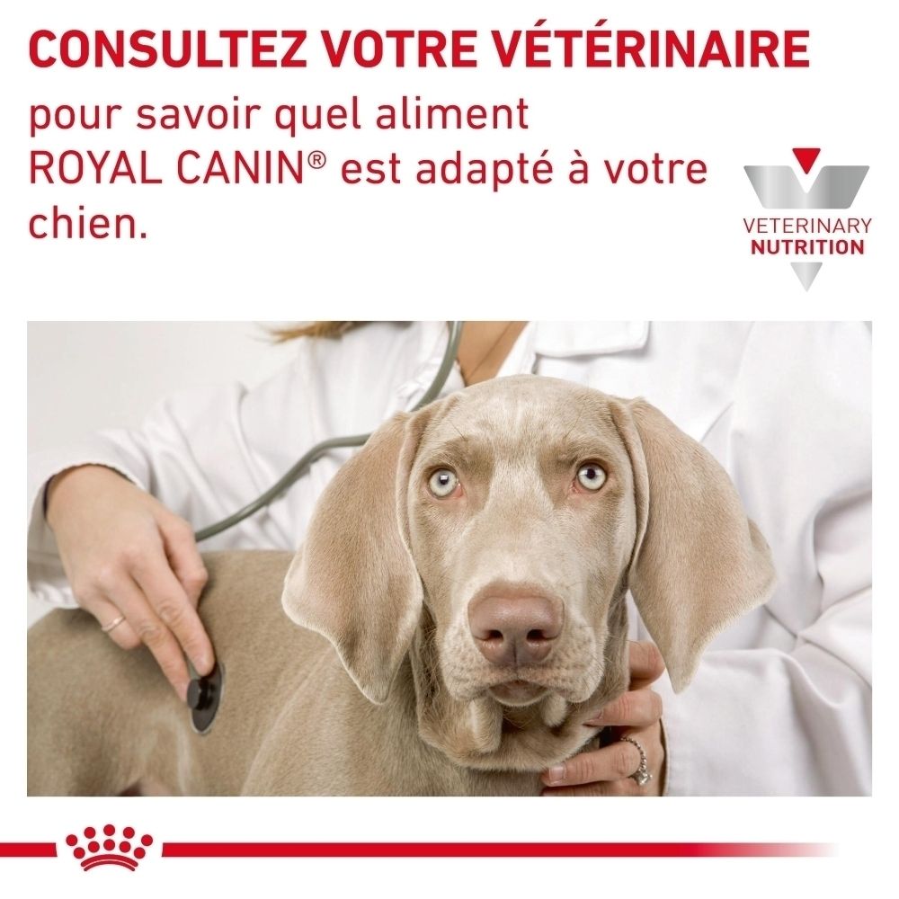 Graphique expliquant les avantages du produit ROYAL CANIN Hypoallergénique Petites Races.