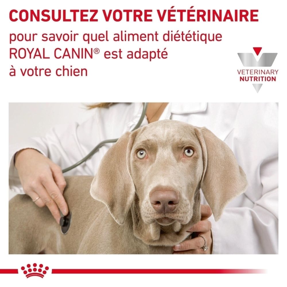 Royal Canin: Consultation vétérinaire pour choisir la bonne alimentation.