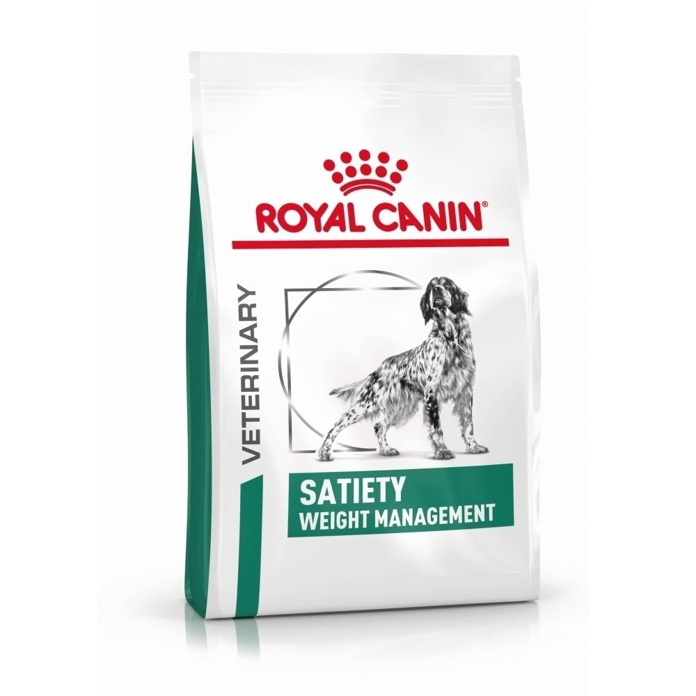 Illustration d'un chien, axée sur la gestion du poids et la nutrition.