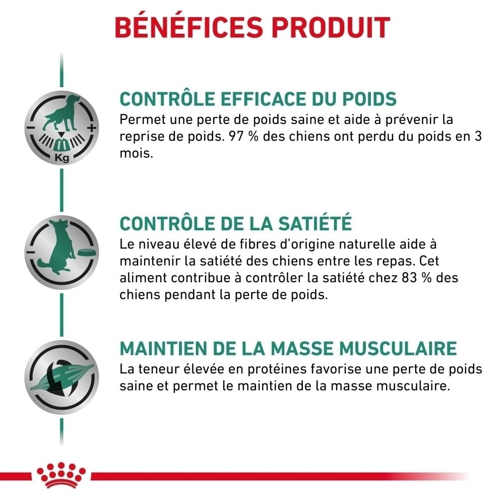 Recommandations d'alimentation pour chiens par poids et phase.