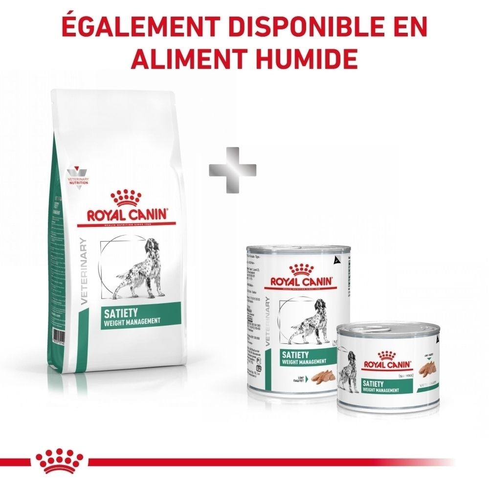 Vétérinaire examinant un chien ; conseil sur l'alimentation Royal Canin.