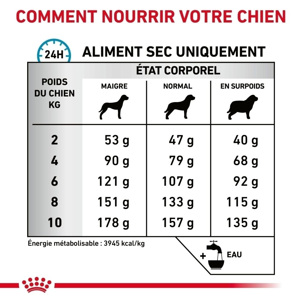 Fütterungstabelle für Trockenfutter: Hundegewicht (kg) vs. Futtermenge (g) je nach Körperzustand (mager, normal, übergewichtig).