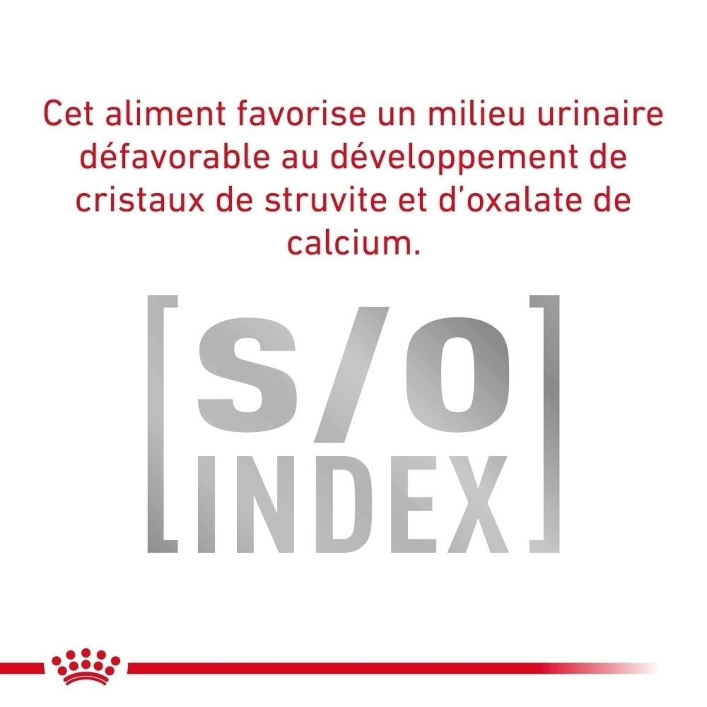 Côté d'un paquet de nourriture pour chien ROYAL CANIN VETERINARY URINARY S/O avec informations détaillées et graphiques.