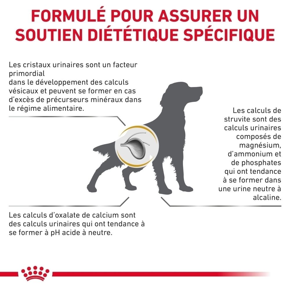 Graphique avec texte en français sur la nutrition scientifiquement développée et ses avantages.