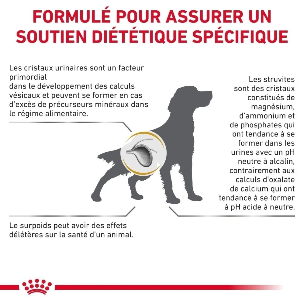 Royal Canin Urinary S/O Moderate Calorie : Formulé pour un soutien diététique spécifique.