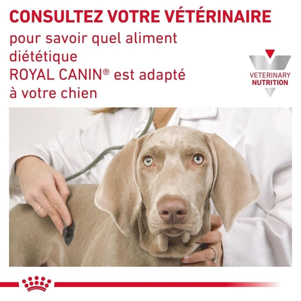 Boîte Royal Canin Urinary S/O Ageing 7+. 12 sachets de 85g. Nourriture pour chien avec illustration de chien.