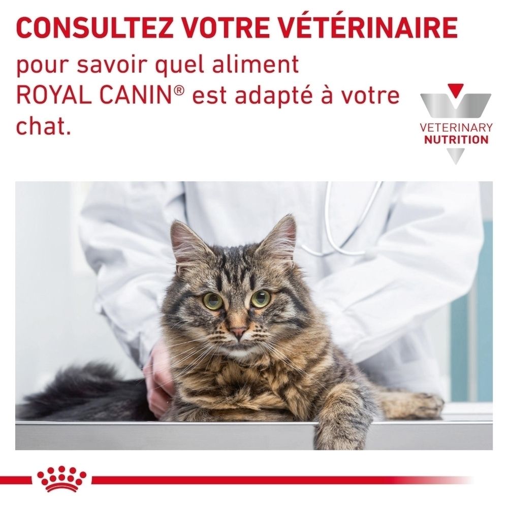 Eine Katze liegt auf einem Untersuchungstisch, während ein Tierarzt sie berührt. Royal Canin Logo.