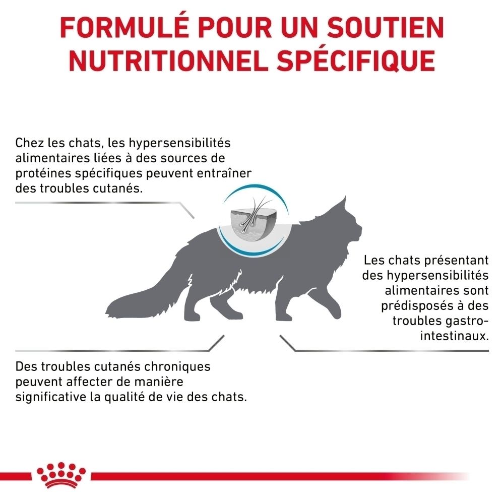 Grafik einer Katze mit Textinformationen zu Ernährungsunterstützung bei Haut- und Verdauungsproblemen.