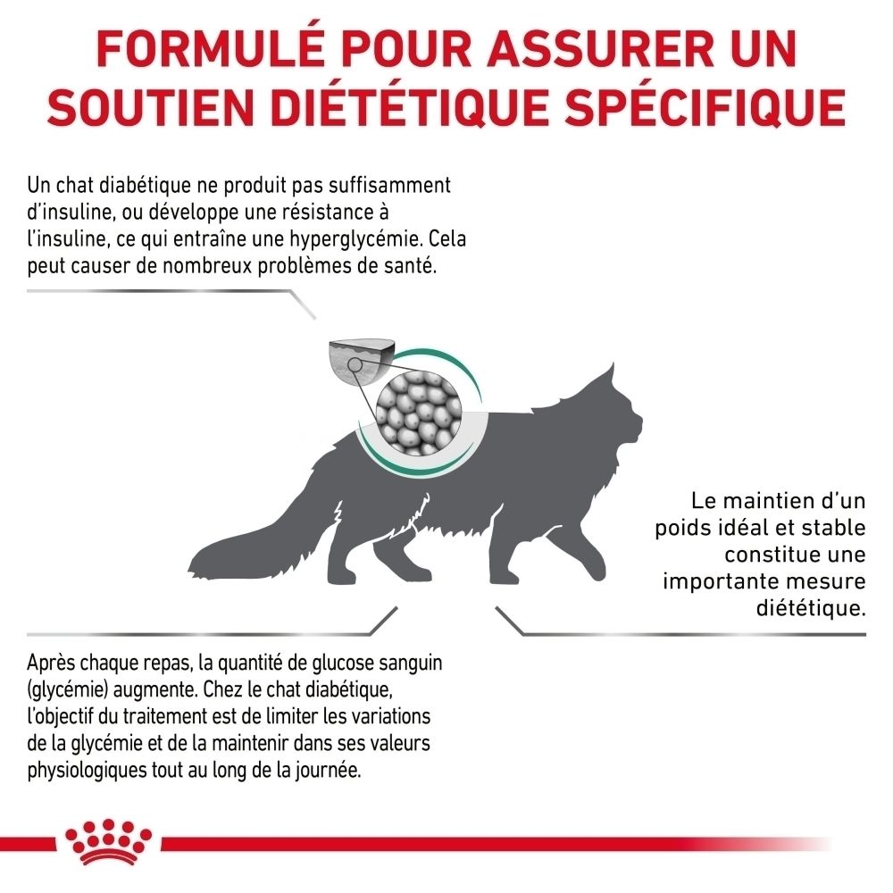 Sac de croquettes Royal Canin Veterinary Diabetic pour chat, 3,5 kg.