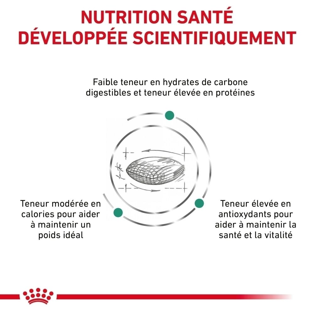 Arrière d'un sac de croquettes Royal Canin Diabetic pour chat avec tableau d'alimentation.