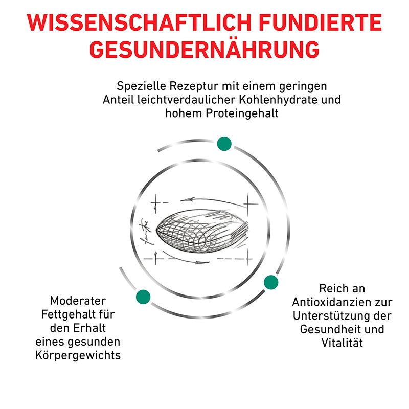 Royal Canin Veterinary Nutrition: Wissenschaftlich fundierte gesunde Ernährung für Katzen.