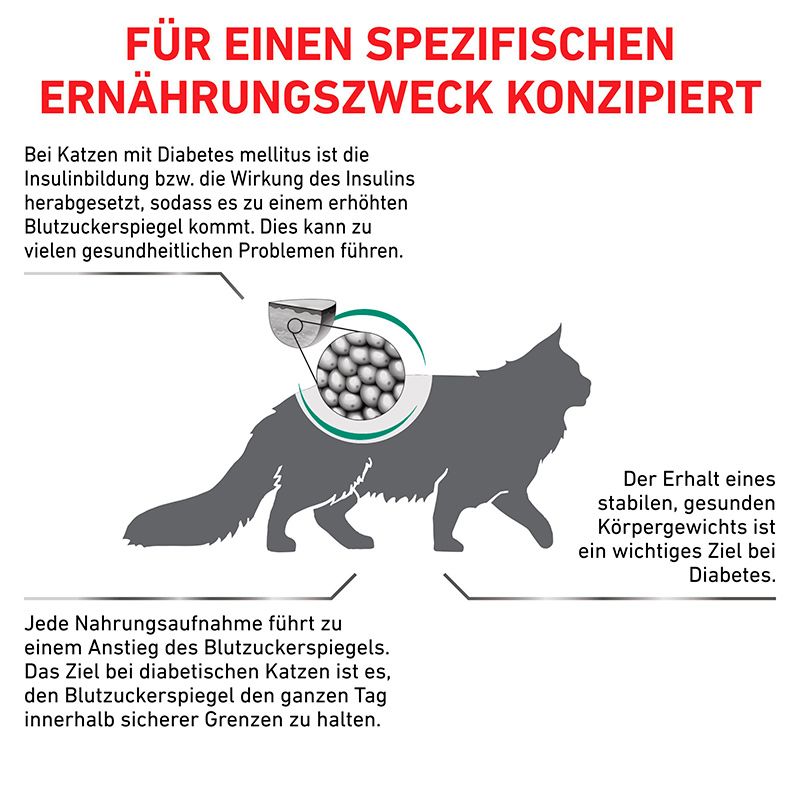 Eine schematische Darstellung einer Katze mit Erklärungen zu Blutzucker und Diabetes.