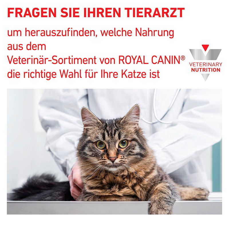 Katze sitzt auf einem Untersuchungstisch bei einem Tierarzt, Royal Canin Veterinary Nutrition Logo.