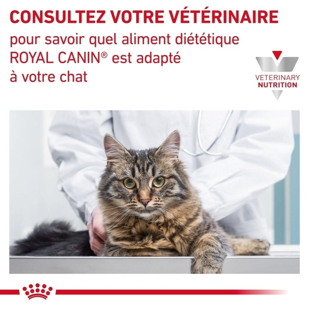 Royal Canin Diabetic : Index S/O pour un système urinaire sain.