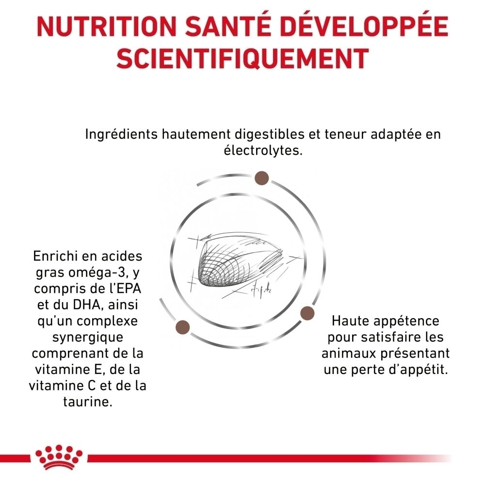 Graphique illustrant les problèmes digestifs chez les chats traités avec ROYAL CANIN® Veterinary Gastrointestinal.